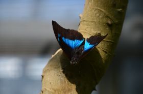 DSC_1326.JPG