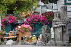 DSC_1292.JPG