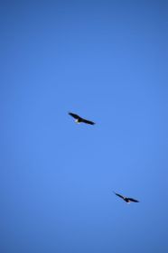 DSC_1376.JPG