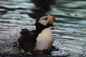 DSC_1463.JPG