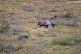 DSC_2077.JPG