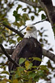 DSC_2660.JPG