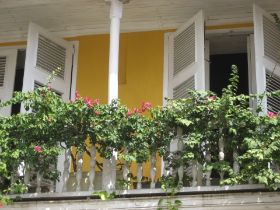 IMG_5601.JPG