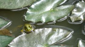 DSC00155.JPG