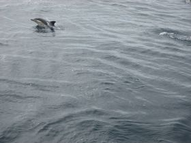 IMG_5753.JPG