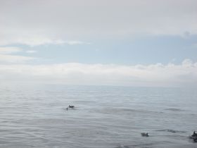 IMG_5754.JPG